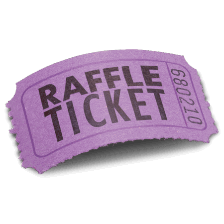 Individual 50:50 Raffle Ticket